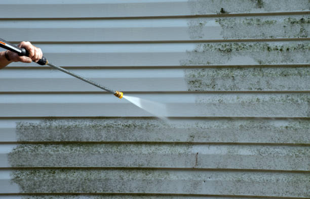Best Roof Pressure Washing  in Kenilworth, PA